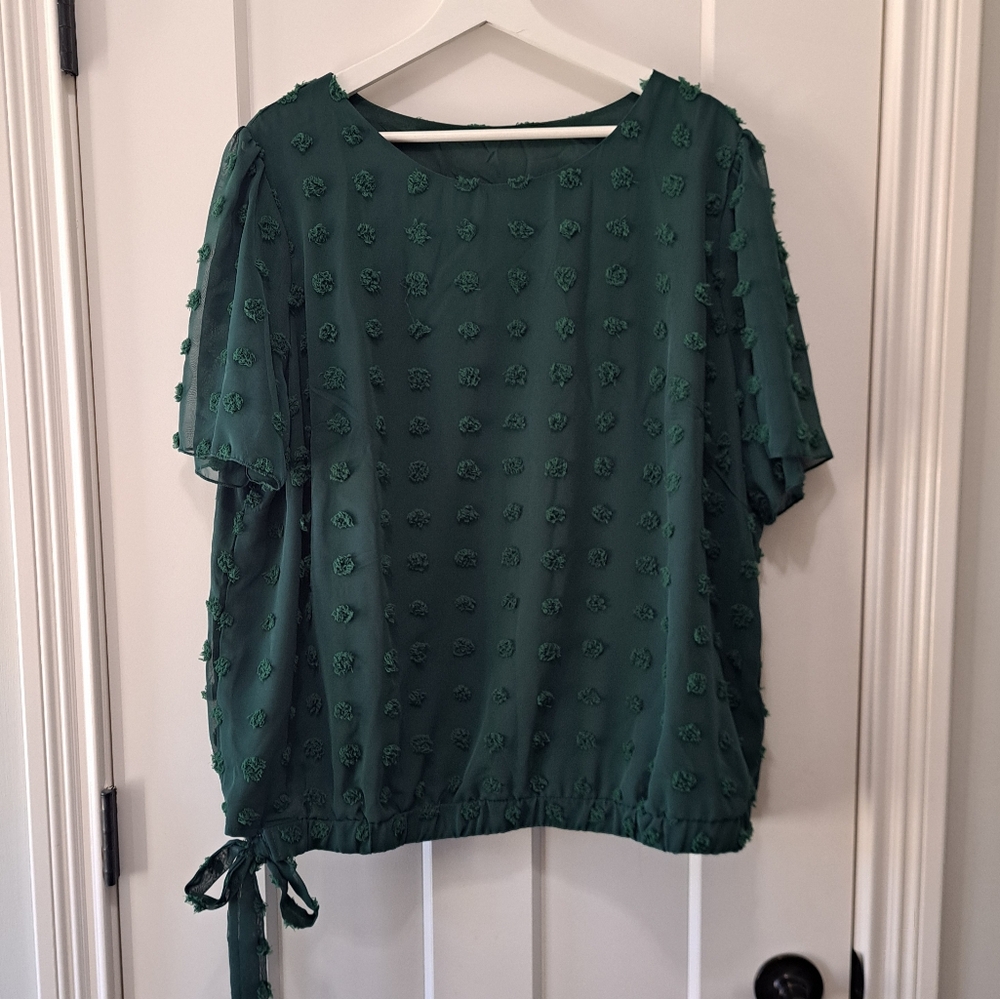 Swiss dot blouse size 3X